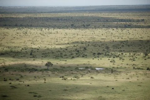 Zuid Afrika 11 — Zuid Afrika